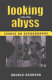 Looking into the abyss : essays on scenography /