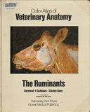 Color atlas of veterinary anatomy--the ruminants /