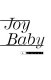 Joy baby : a novel /