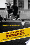 Views from the streets : the transformation of gangs and violence on Chicago's South Side /