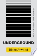 Underground : the secret life of videocassettes in Iran /