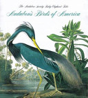 Audubon's birds of America /