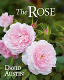 The rose /