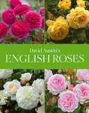 David Austin's English roses /