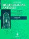 Multicellular animals : a new approach to the phylogenetic order in nature /
