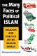 The many faces of political Islam : religion and politics in the Muslim world /