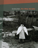 The other Slovakia : photographs 1989-2005 /