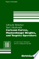 Carleson curves, Muckenhoupt weights, and Toeplitz operators /