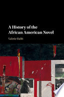 A history of the African American novel /