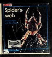 Spider's web /