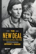The New Deal : the Depression years, 1933-40 /