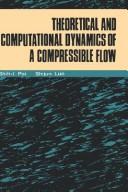 Theoretical and computational dynamics of a compressible flow /