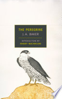 The peregrine /