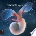 Secrets of the sea /