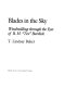 Blades in the sky : windmilling through the eyes of B.H. "Tex"   Burdick /