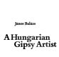 A Hungarian gipsy artist /