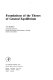 Foundations of the theory of general equilibrium /