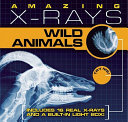 Amazing x-rays : wild animals /