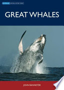 Great whales /