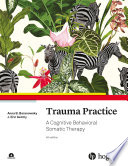 Trauma practice : a cognitive behavioral somatic therapy /