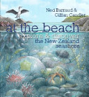 At the beach : explore & discover the New Zealand seashore /