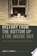 History from the bottom up and the inside out : ethnicity, race, and identity in working-class history /