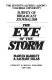 The eye of the storm /