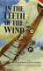 In the teeth of the wind : the story of a naval pilot on the western front, 1916-1918 /
