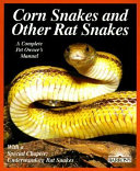Corn snakes and other rat snakes /