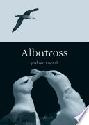 Albatross /