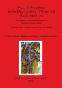 Natural processes in the degradation of open-air rock-art sites : an urgency intervention scale to inform conservation : the case of the Côa Valley world heritage site, Portugal /