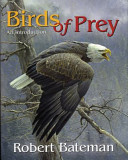 Birds of prey : an introduction /