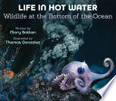 Life in hot water : wildlife at the bottom of the ocean /