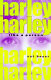 Harley, like a person /