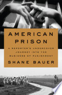 American prison : a reporter's undercover journey into the business of punishment /
