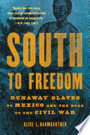 South to freedom : runaway slaves to Mexico and the road to the Civil War /