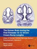 The human brain during the first trimester 15- to 18-mm crown-rump lengths.