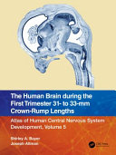 The human brain during the first trimester 31- to 33-mm crown-rump lengths.