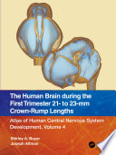 The human brain during the first trimester 21- to 23-mm crown-rump lengths.