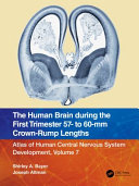 The human brain during the first trimester 57- to 60-mm crown-rump lengths /