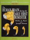 The human brain during the early first trimester /