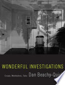 Wonderful investigations : essays, meditations, tales /