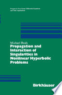 Propagation and interaction of singularities in nonlinear hyperbolic problems /