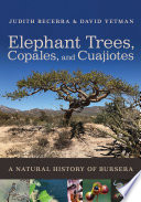 Elephant trees, copales, and cuajiotes : a natural history of Bursera /