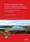 El aprovisionamiento de sílex durante la Prehistoria reciente en la comarca del Guadalteba (Málaga) : un análisis desde la arqueometría y la tecnología lítica /