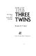 The three twins : the telling of a South Indian folk epic /