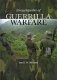 Encyclopedia of guerrilla warfare /