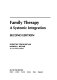 Family therapy : a systemic integration /