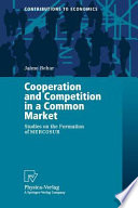 Cooperation and competition in a common market : studies on the formation of MERCOSUR /