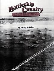 Battleship country : the battle fleet at San Pedro-Long Beach, California, 1919-1940 /